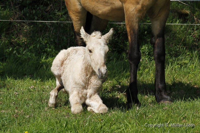 Hjoerdis 1 Stunde und 13 Min alt (3).JPG